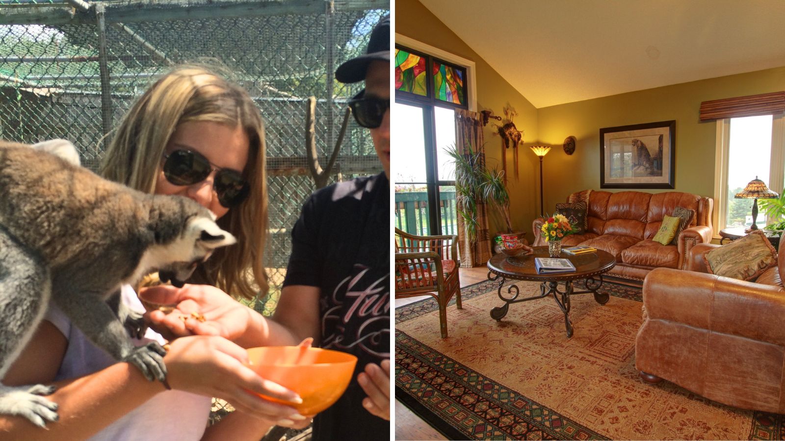 Jungle Cat World Safari Lodge in Orono, Ontario Collage of people with lemurs and an interior room at the Jungle Cat World Safari Lodge in Orono, Ontario