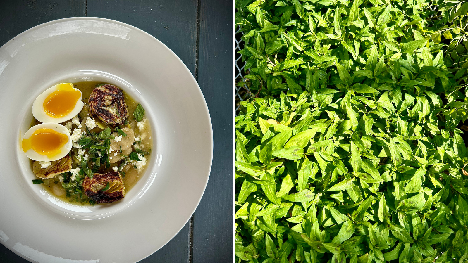 Spring Butter Bean Stew With Grilled Artichokes, Feta And Fresh Herbs by Chef Alex Page