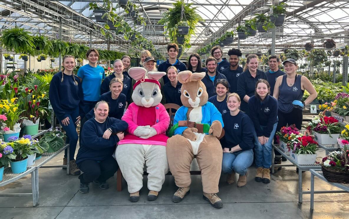 Group photo of the Easter Bunny and staff inside a greenhouse at Vandermeer Nursery