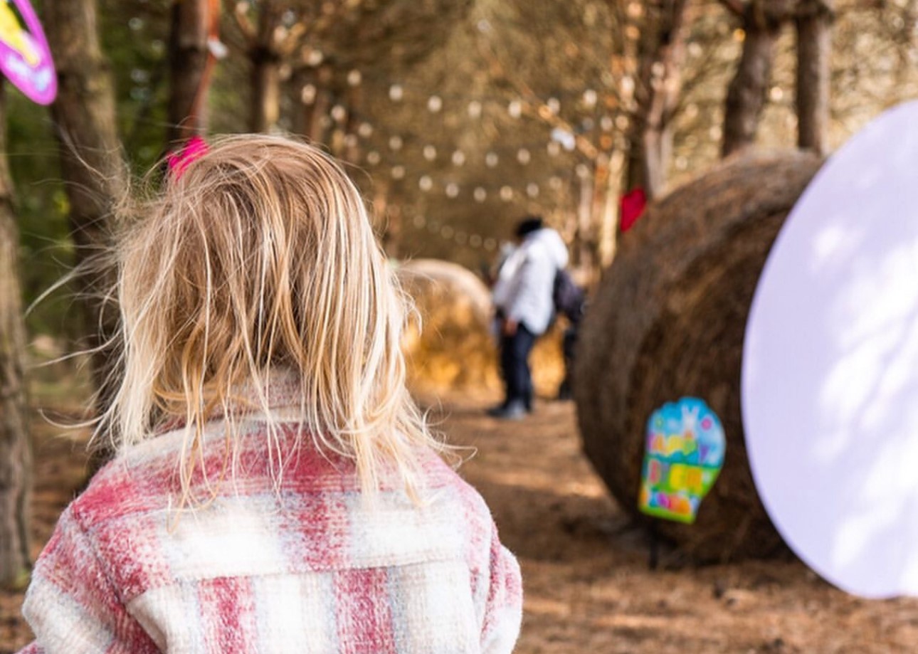 Photo of a child in a forest participating in an Easter egg hunt