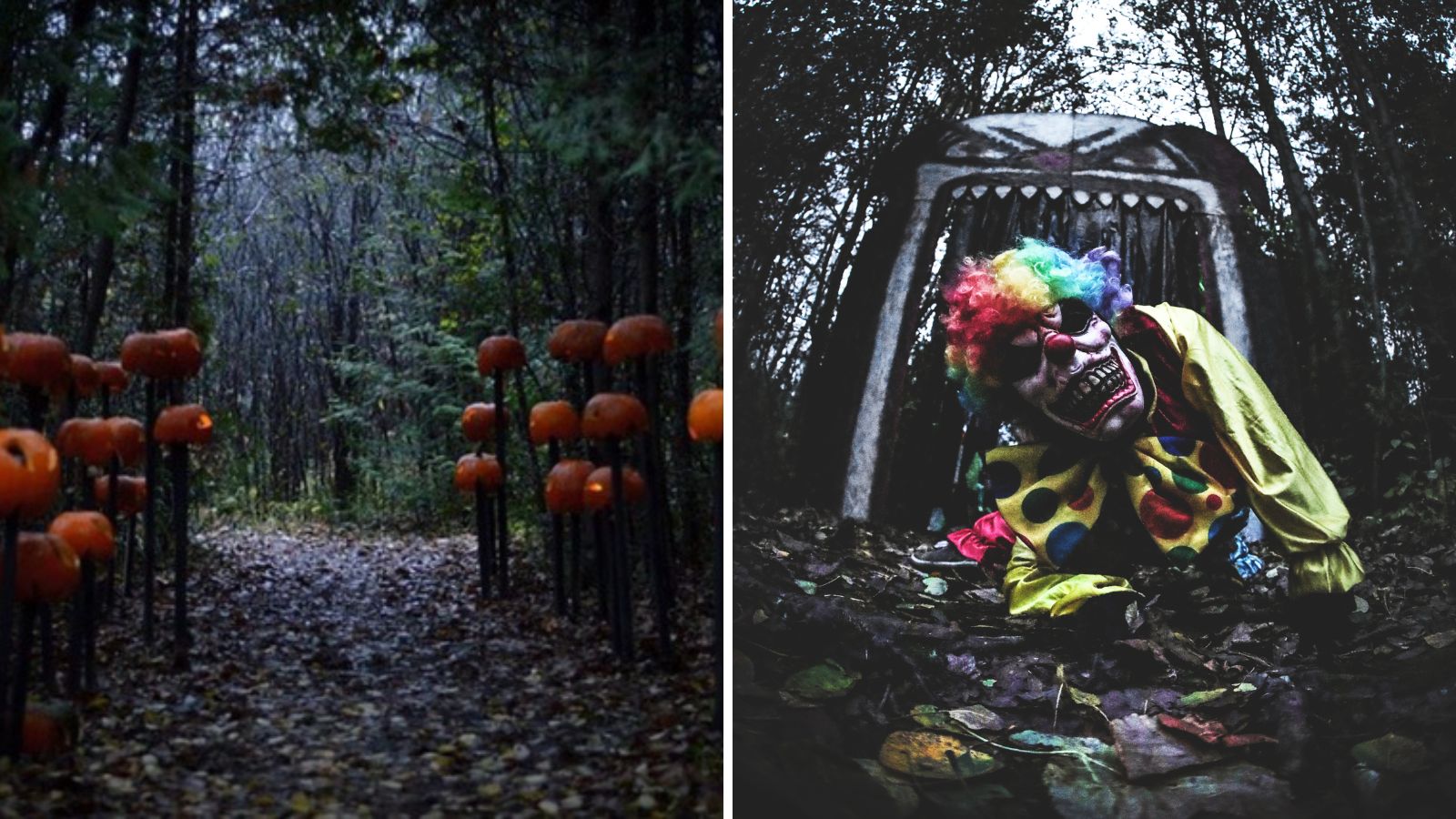 Collage of Cannington Haunted Attraction in Durham Region, Ontario