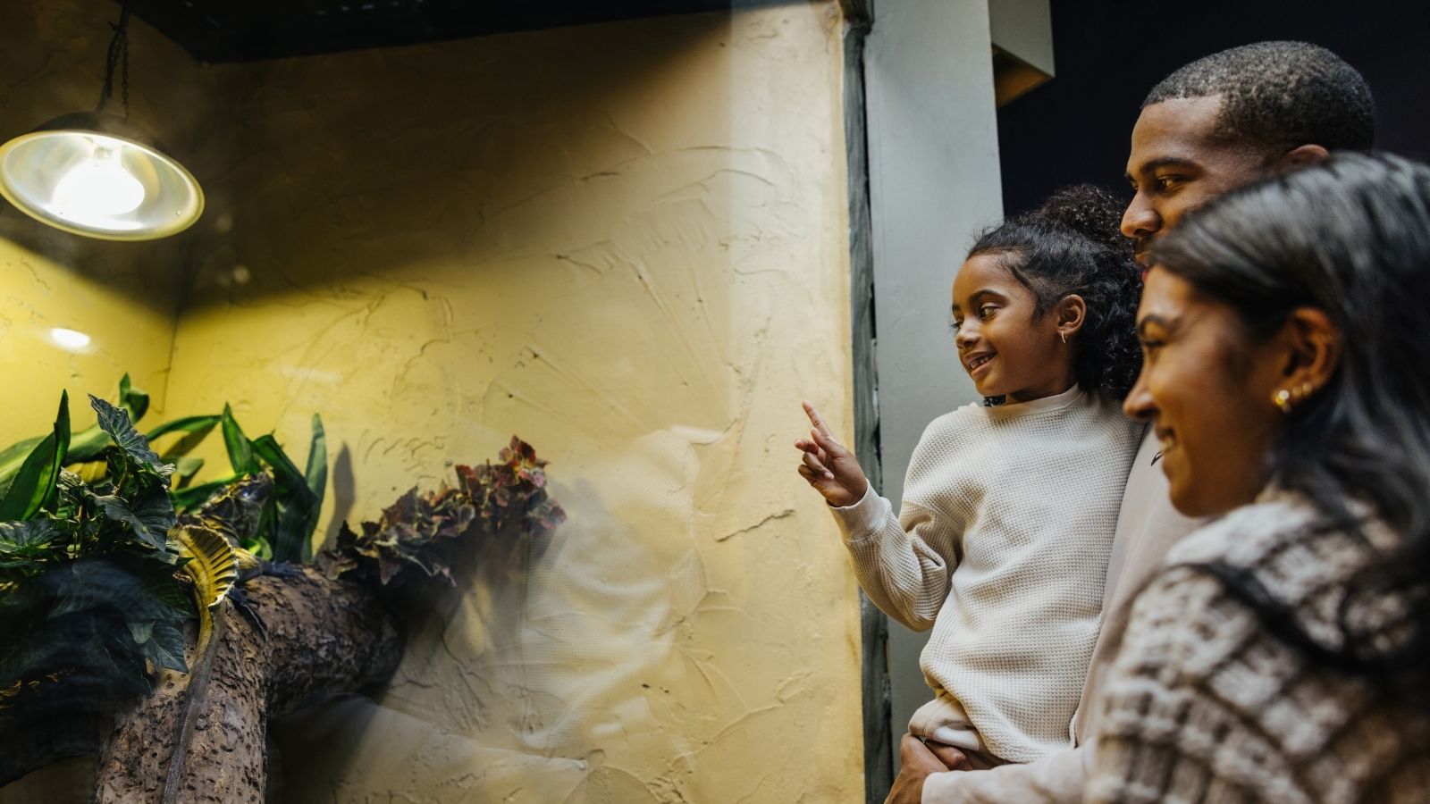 Image of a family of three standing at the glass of an enclosure at an indoor reptile zoo looking at a lizard sitting on a branch
