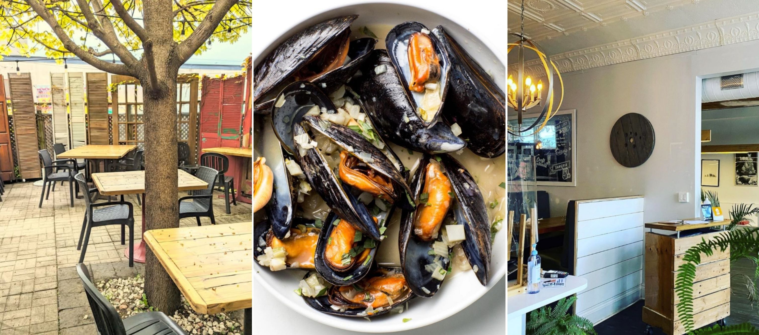 Collage of images showcasing a local restaurant. The first image shows the charming backyard patio with a tree growing in the centre. The second is a plate of mussels in broth taken from above. The third show the host stand and waiting area at the front of the restaurant.