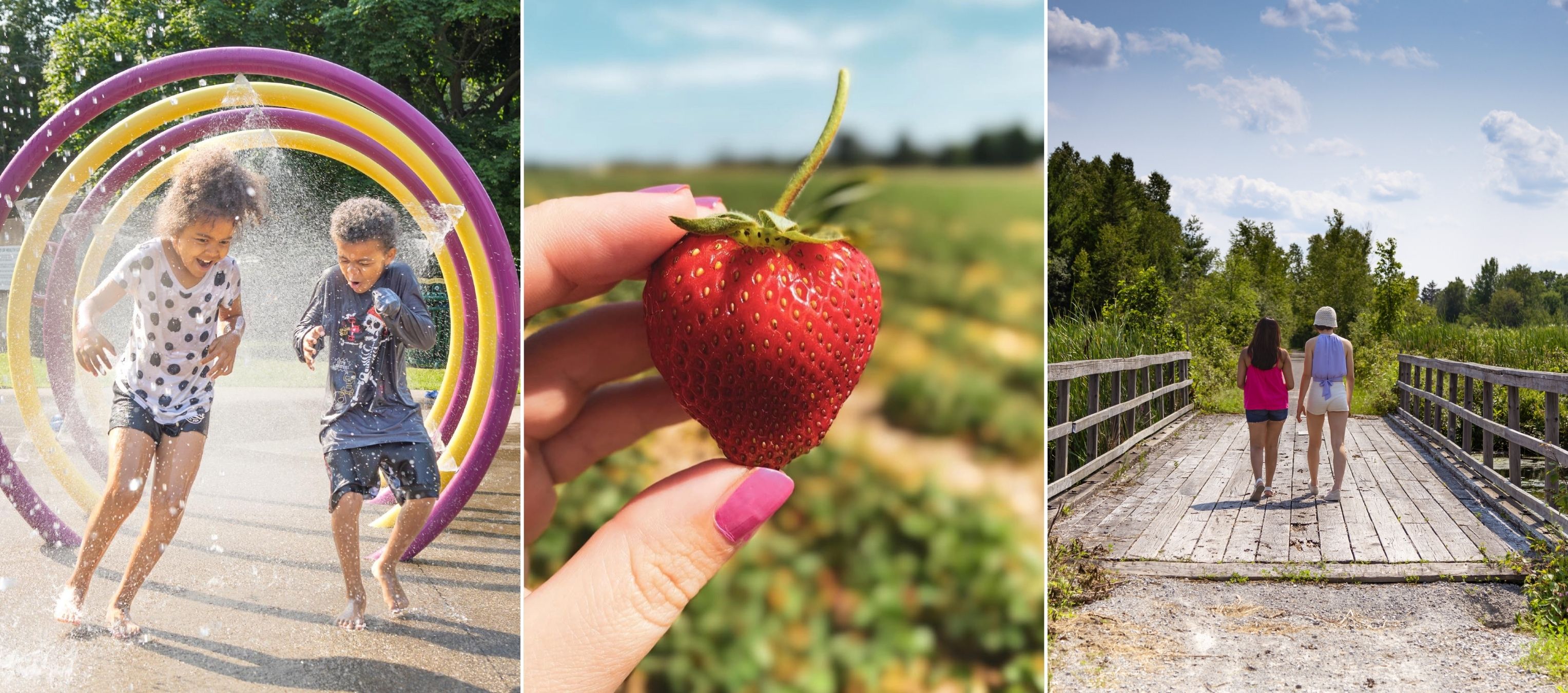 Collage of images including two children running through a splash pad, an image of someone holding up a freshly picked strawberry, and an image of two children walking across a bridge on a trail.