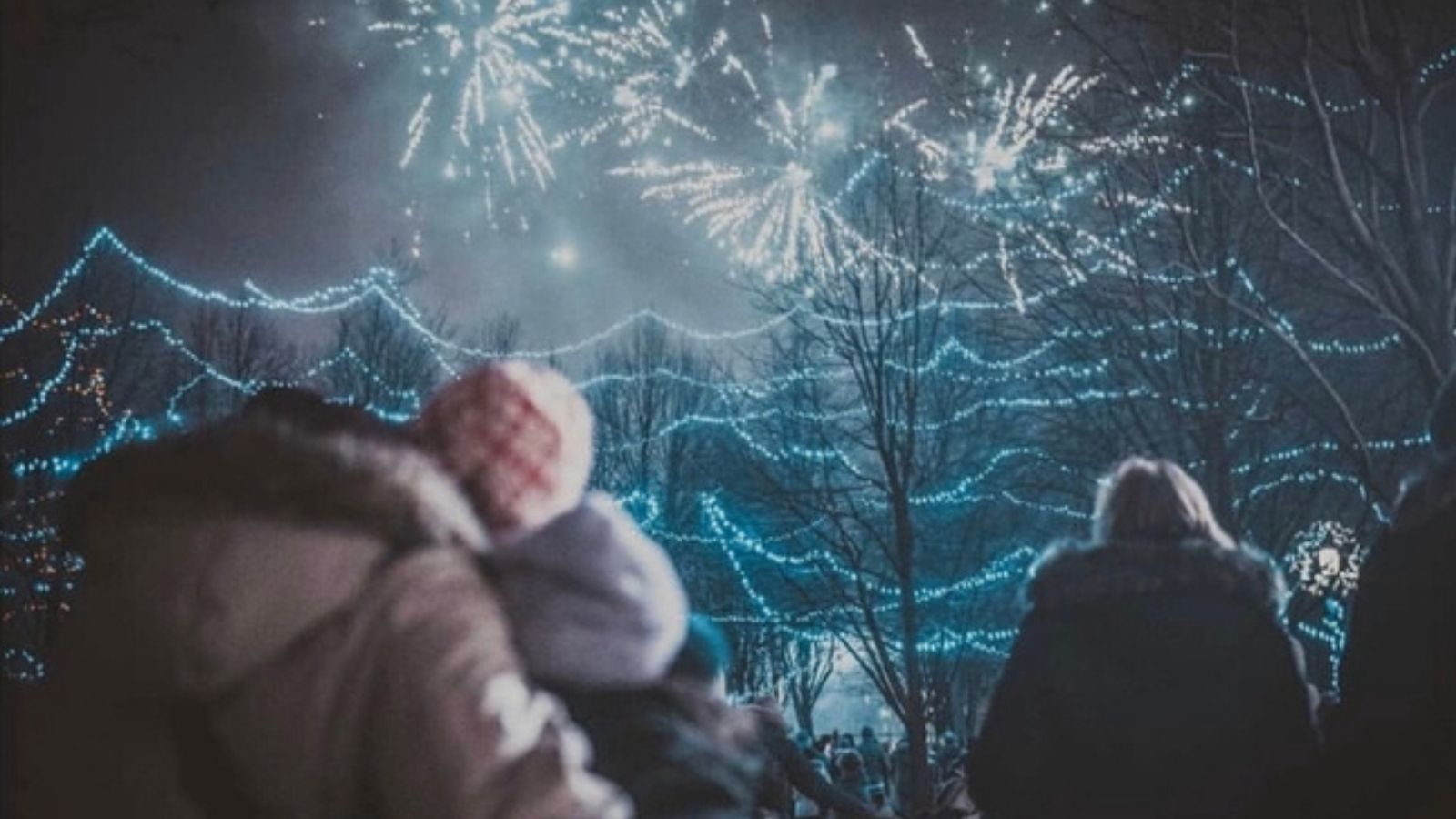 Image of a crowd watching fireworks on New Year's Eve in Durham Region, Ontario, Canada