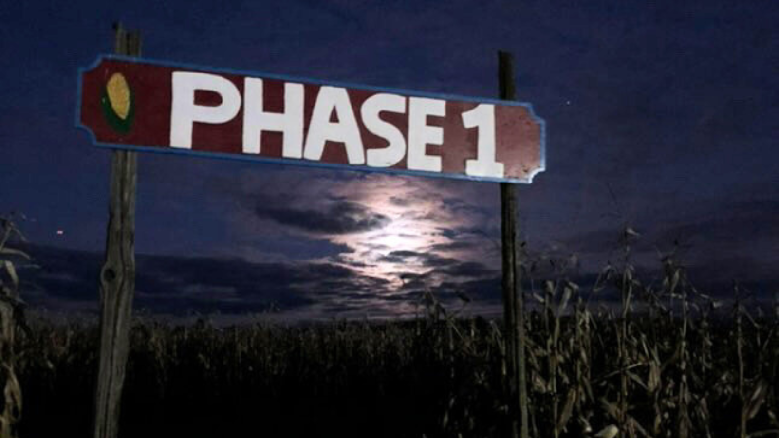 Night time corn maze at Cooper's CSA Farm in Uxbridge, Ontario