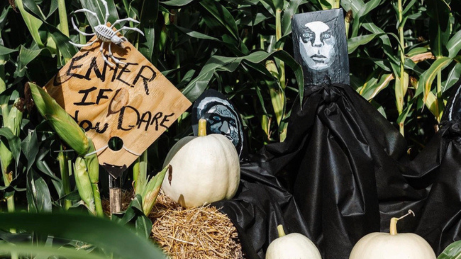 Halloween decorations at Clarington's Firehouse Fright Night at Watson Farms in Bowmanville, Ontario