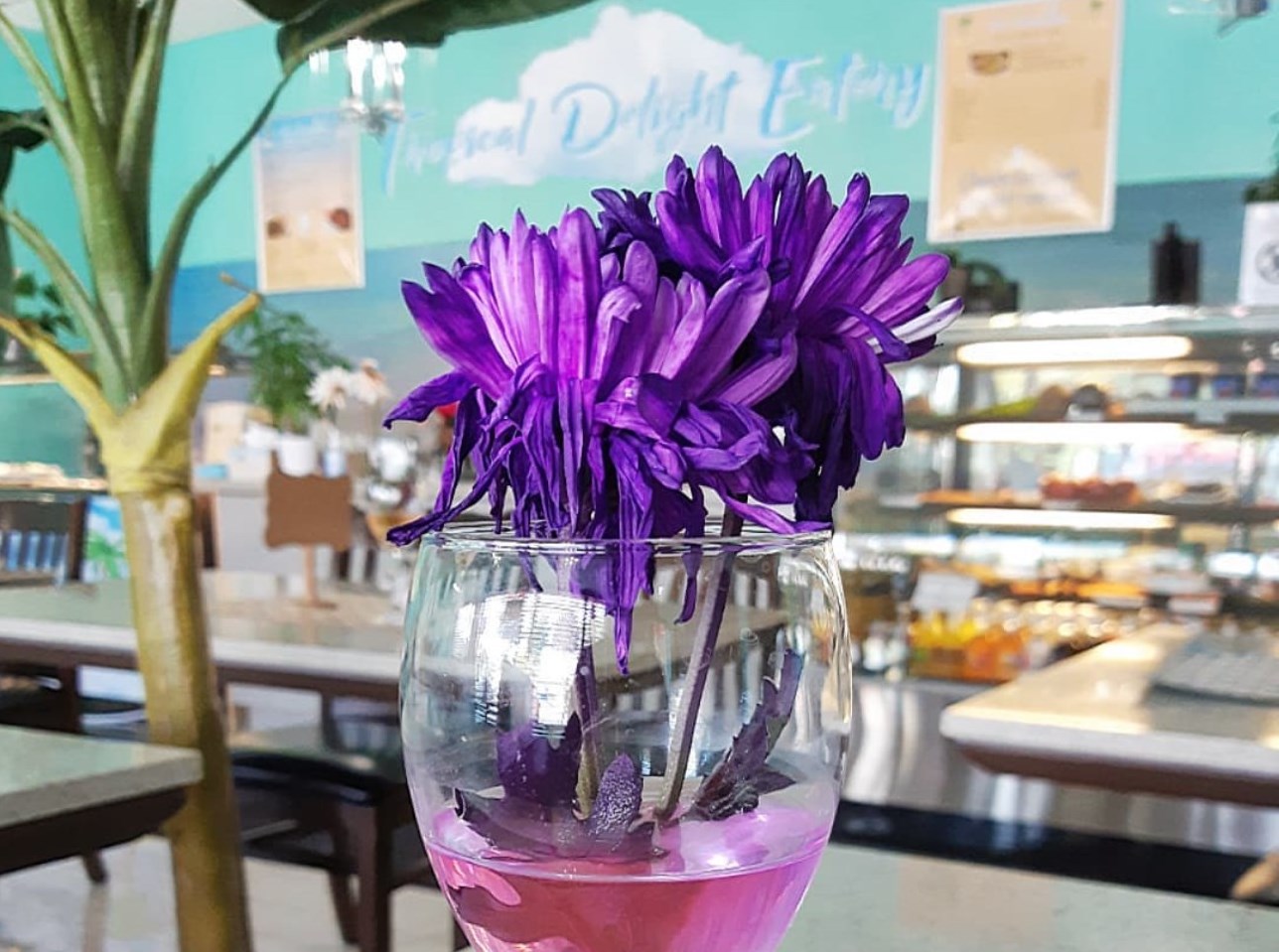 Colourful drink with a flower on it from Tropical Delight Eatery in Ajax, Ontario