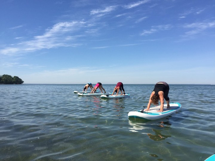 People standing on paddleboards in the water doing yoga