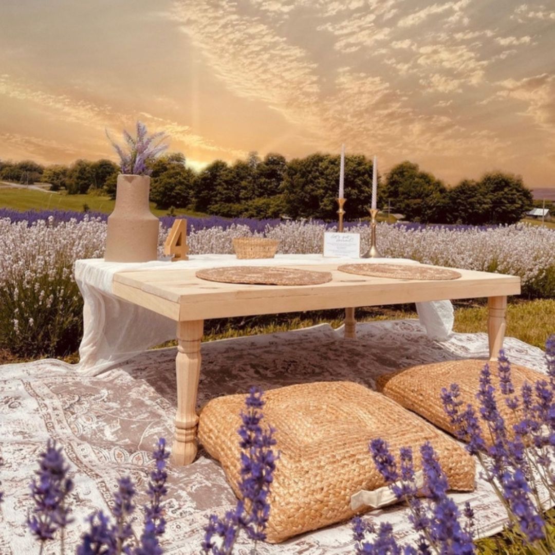 Picnic at Gray Silo Lavender in Scugog, Ontario