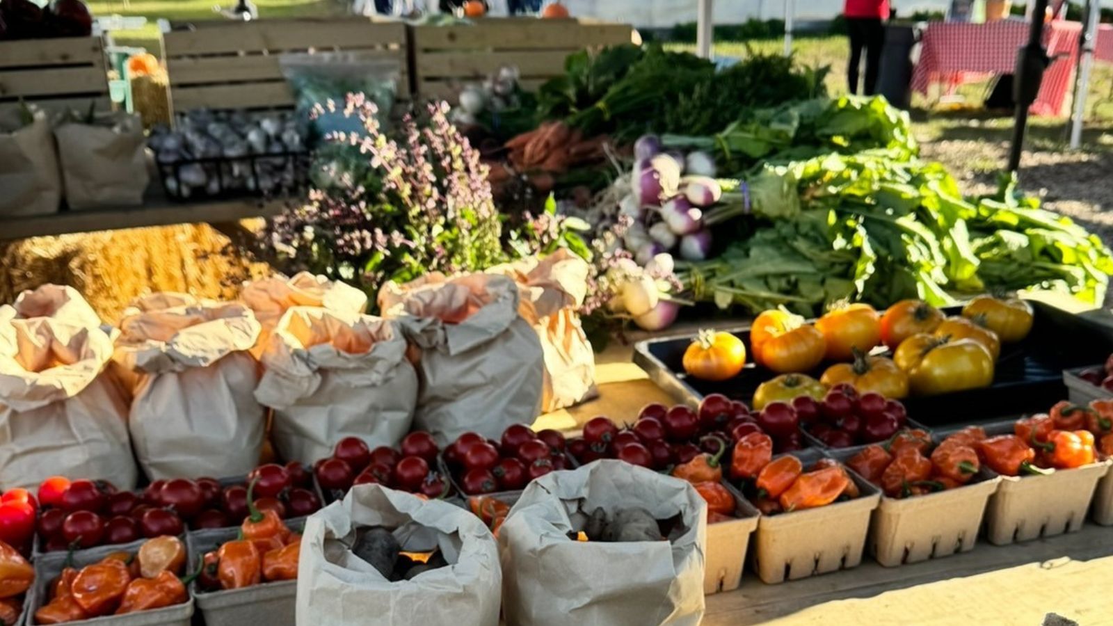 Local produce on display at the Barrett Centre farmers' market in Ajax, Ontario, Canada.