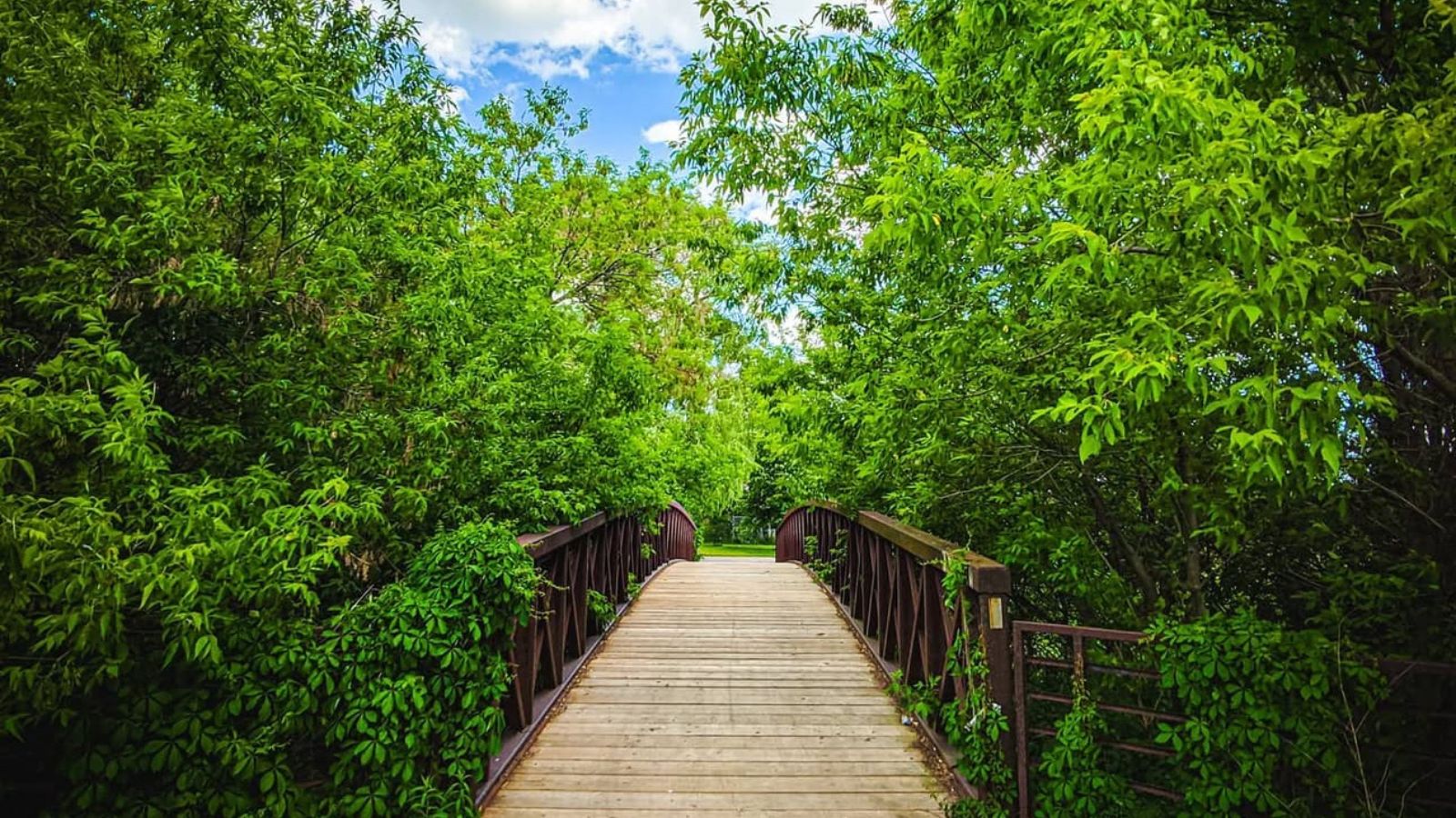 Photo by poodz of a bridge leading to Dufferin Trail in Ajax, Ontario, Canada.