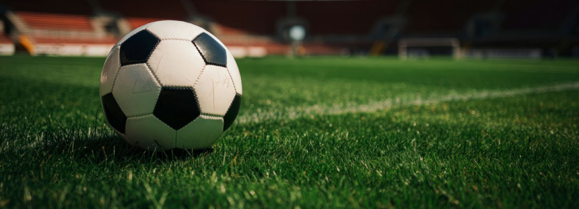 Soccer ball in staduim