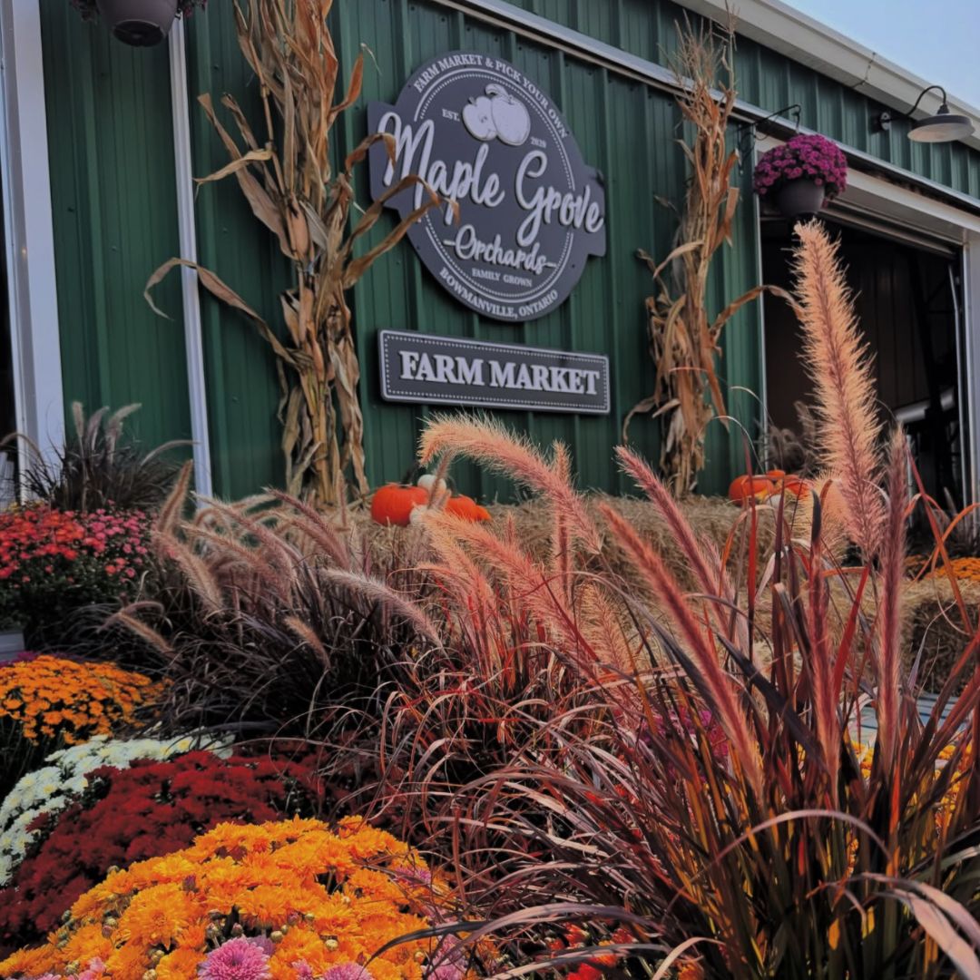 Beautiful fall floral arrangements in front of Maple Grove Orchards in Bowmanville, Ontario, Canada