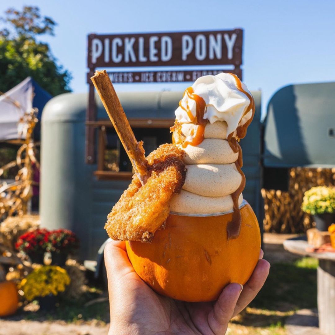 Hand holding a mini pumpkin treat from Pingle's Farm in Hampton, Ontario, Canada