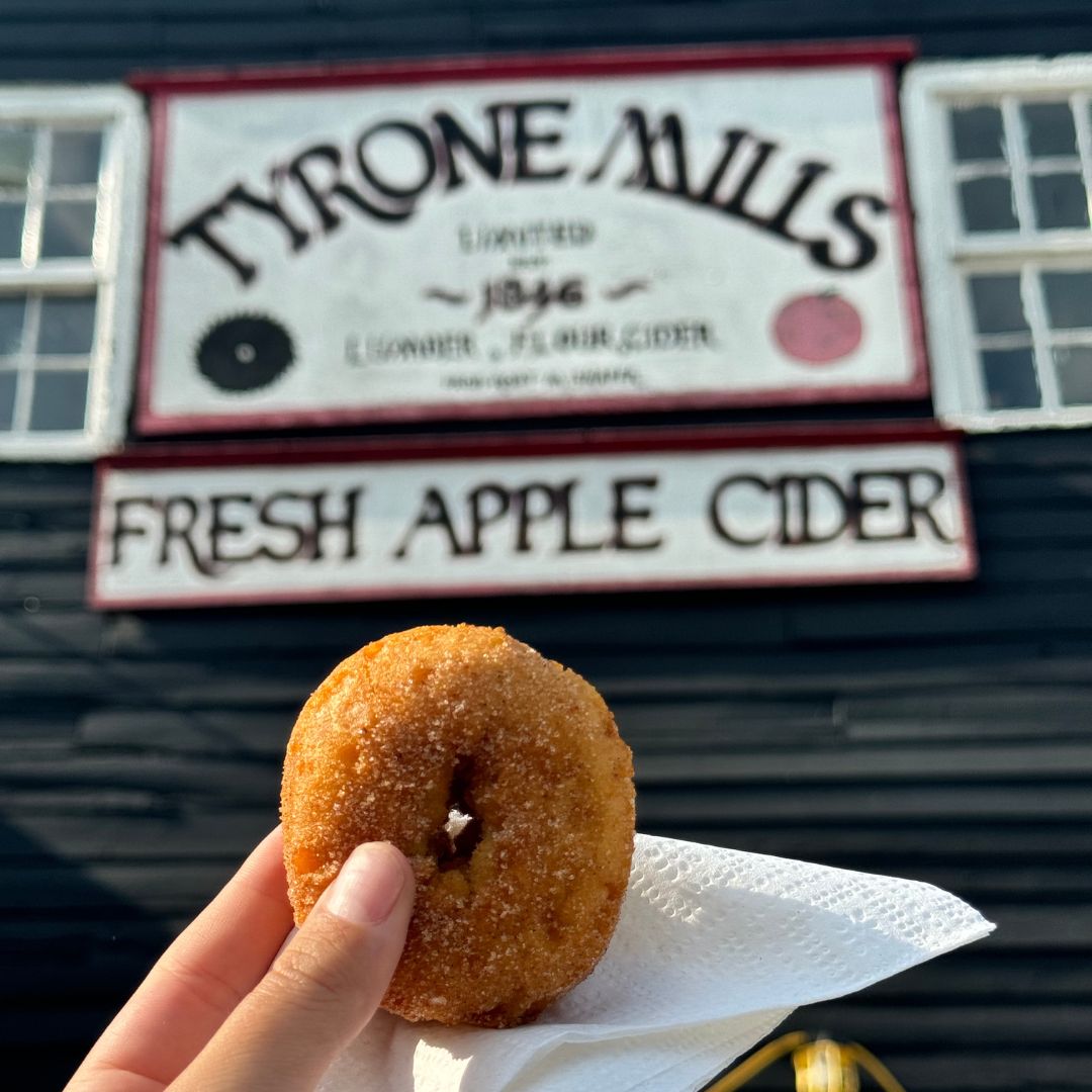 Hand holding a fresh cider doughnut from Tyrone Mills in Tyrone, Ontario, Canada