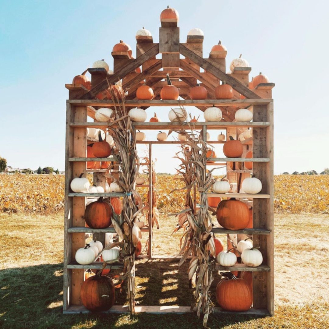 Small house outdoors with different coloured pumpkins placed on shelving at Watson's Farm in Bowmanville, Ontario, Canada