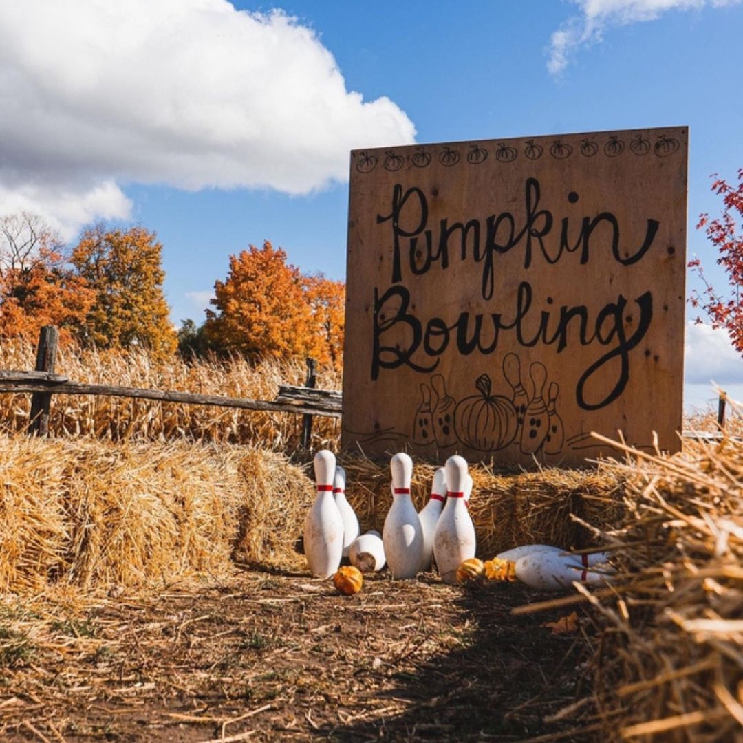 Holding an iced coffee drink in front of pumpkins.