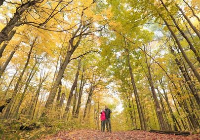 Image of two people posing on a trail in a forest where the trees have started to change colour