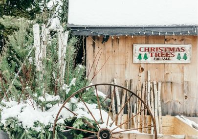 Sign that reads, "Christmas Trees For Sale" at Hope's Christmas Tree Farm in Clarington, Ontario