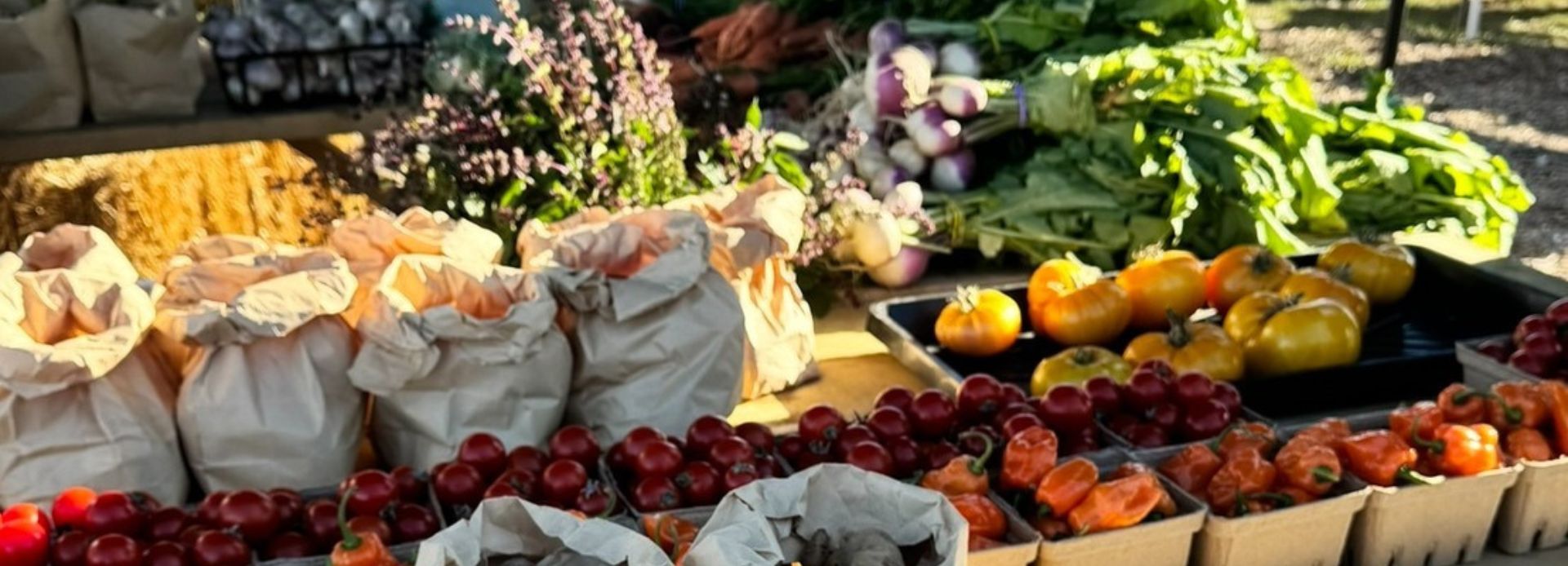 Farm fresh produce on a display table at the Barrett Centre Urban Farm in Ajax, Ontario, Canada.