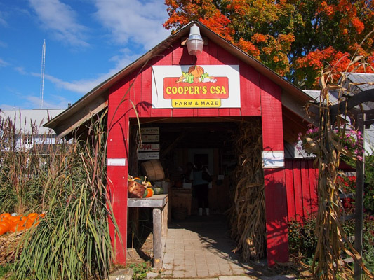 Farm market entrance surrounded by pumpkins and corn stalks