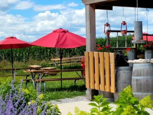 Outdoor patio with red umbrellas, plants and corn field in the background.