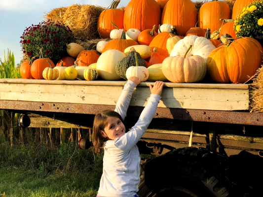 Wooden wagon filled with orange and white pumpkins with little girl picking one