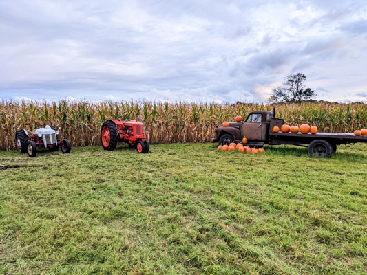 Corn field with tractors and a vintage truck filled with orange pumpkins