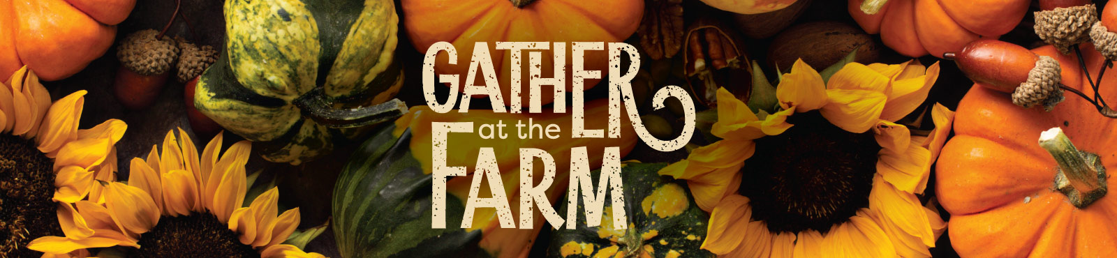 Pumpkins, gourds and sunflower background with Gather at the Farm wording overlay