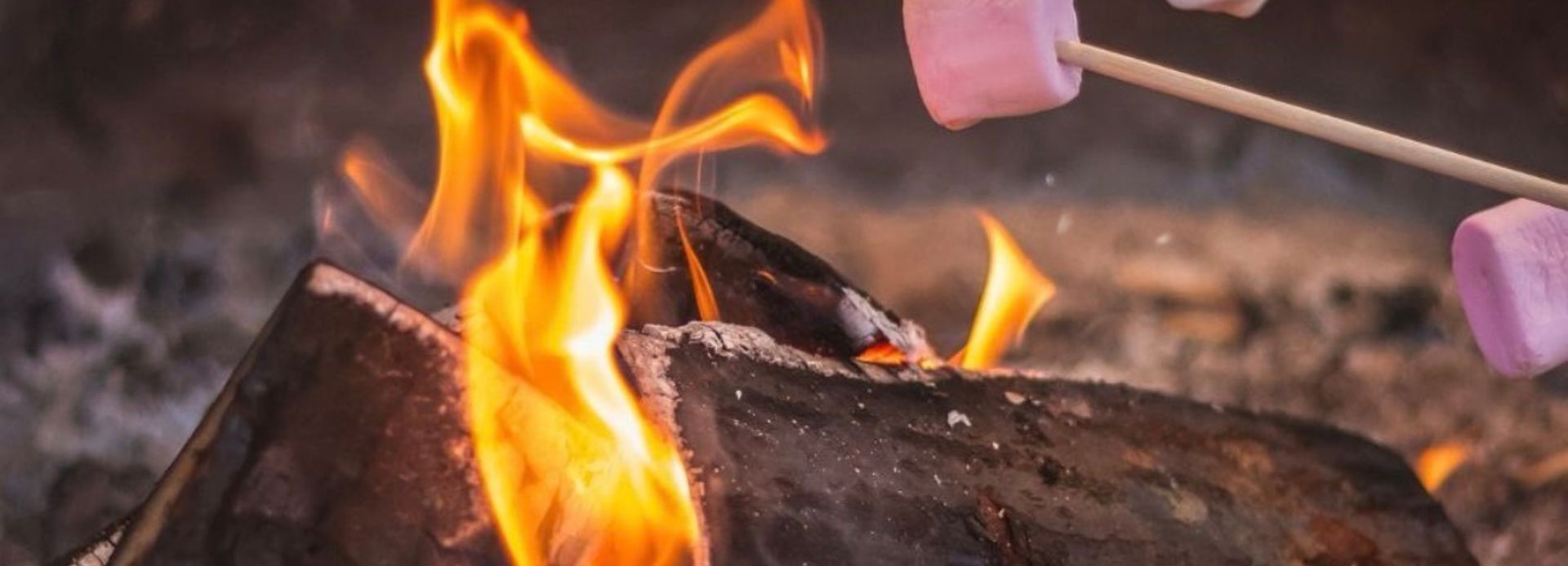 Roasting marshmallows over a camp fire in Durham Region, Ontario, Canada