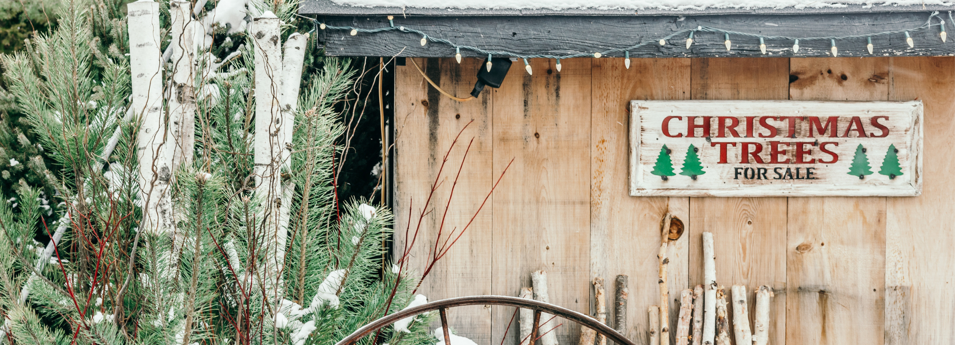 Sign that reads, "Christmas Trees For Sale" at Hope's Christmas Tree Farm in Clarington, Ontario