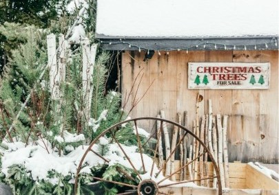 Snow-covered barn with a sign that reads "Christmas Trees For Sale" at Hope's Christmas Tree Farm in Durham Region, Ontario, Canada