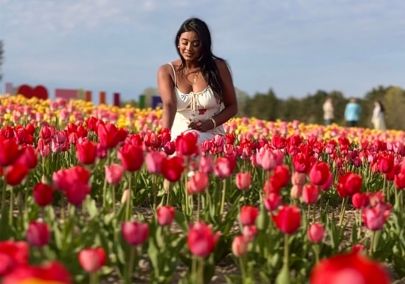 Woman picking flowers at Pingle's Tulip Days Festival in Clarington, Ontario, Canada