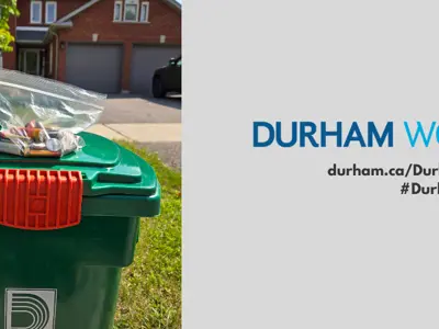 An image of a green bin at the curbside with batteries in a clear bag placed on top.