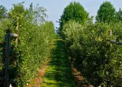 2022-Kent-Farms-700-x-500-.jpg