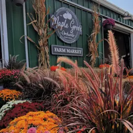 Maple-Grove-Orchards---Gather-at-the-Farm.jpg