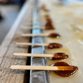 Maple-Syrup-farms-Durham-Tourism.jpg