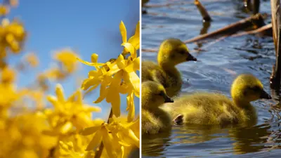Second-Marsh---Blog-Cover-Photo.png