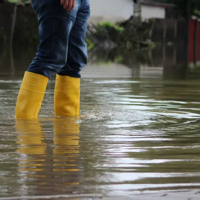 ClimateChange.PNG