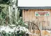 Christmas-Tree-Farms-405x284-button.jpg