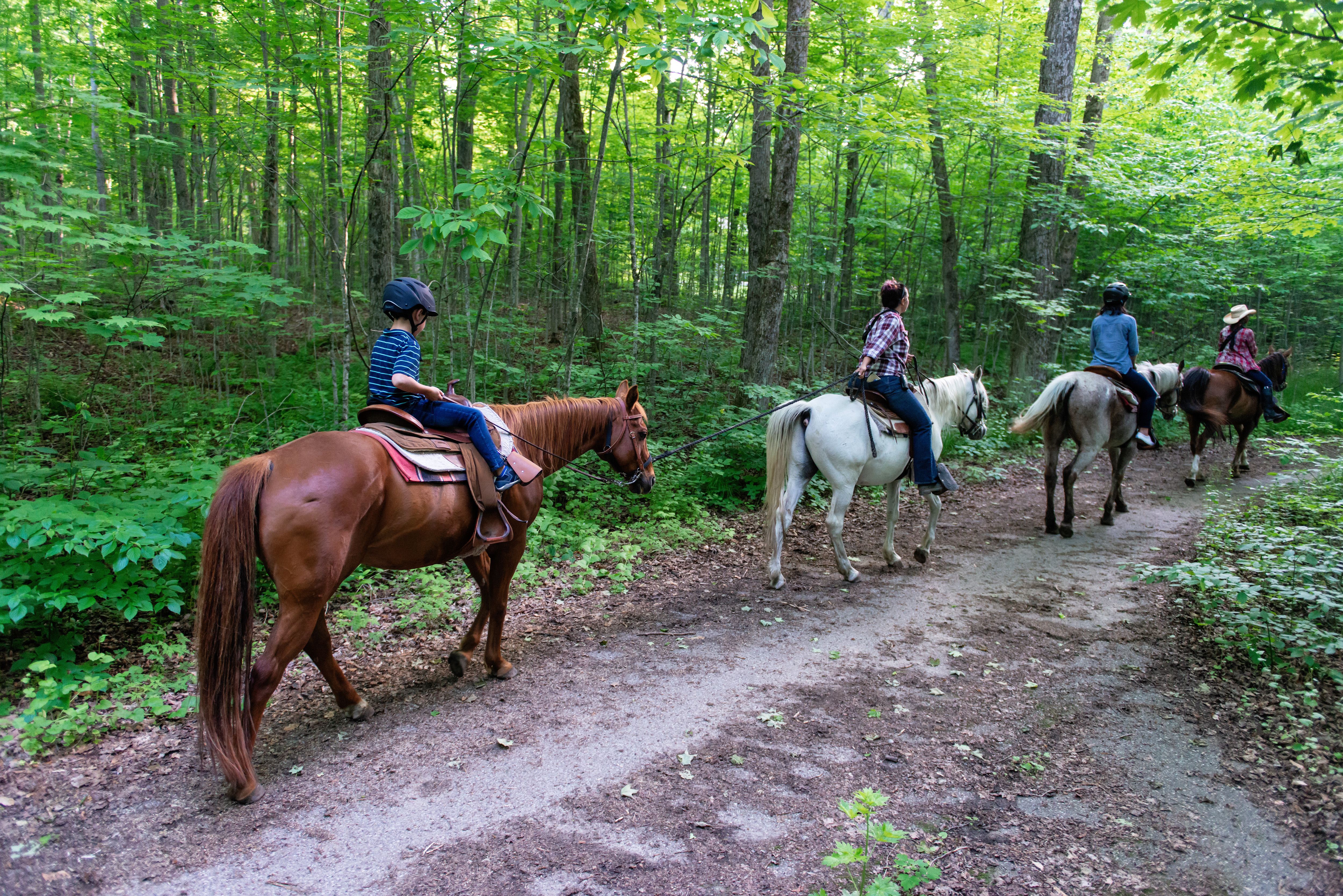 Pathways on Pleasure Valley trail ride Pathways on Pleasure Valley group trail ride