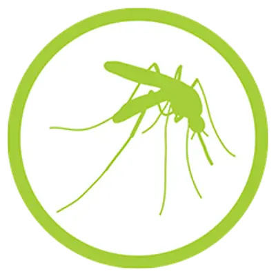 Mosquito icon