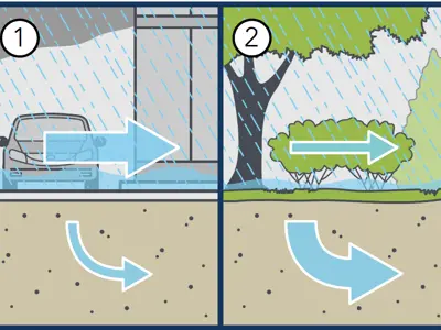 ImperviousSurfaces.png
