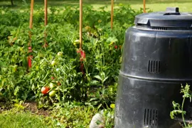 Image of backyard compost