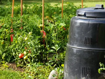 Image of backyard compost
