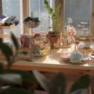 Home-Decor---Lifestyle.jpg