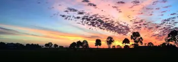 Sunset over an open field with colourful clouds and silhouetted trees along the horizon.