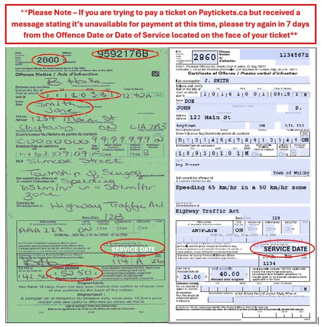 Picture of Offence notices