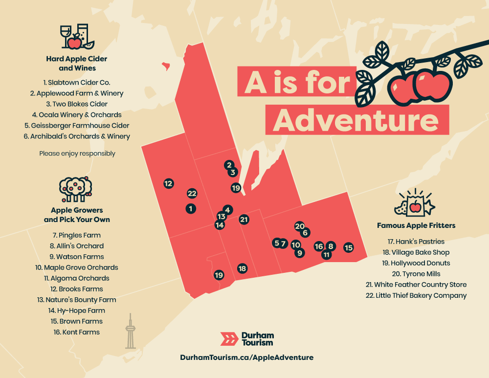 Map of apple cideries and wineries, apples growers, and cafes offering apple fritter in Durham Region.